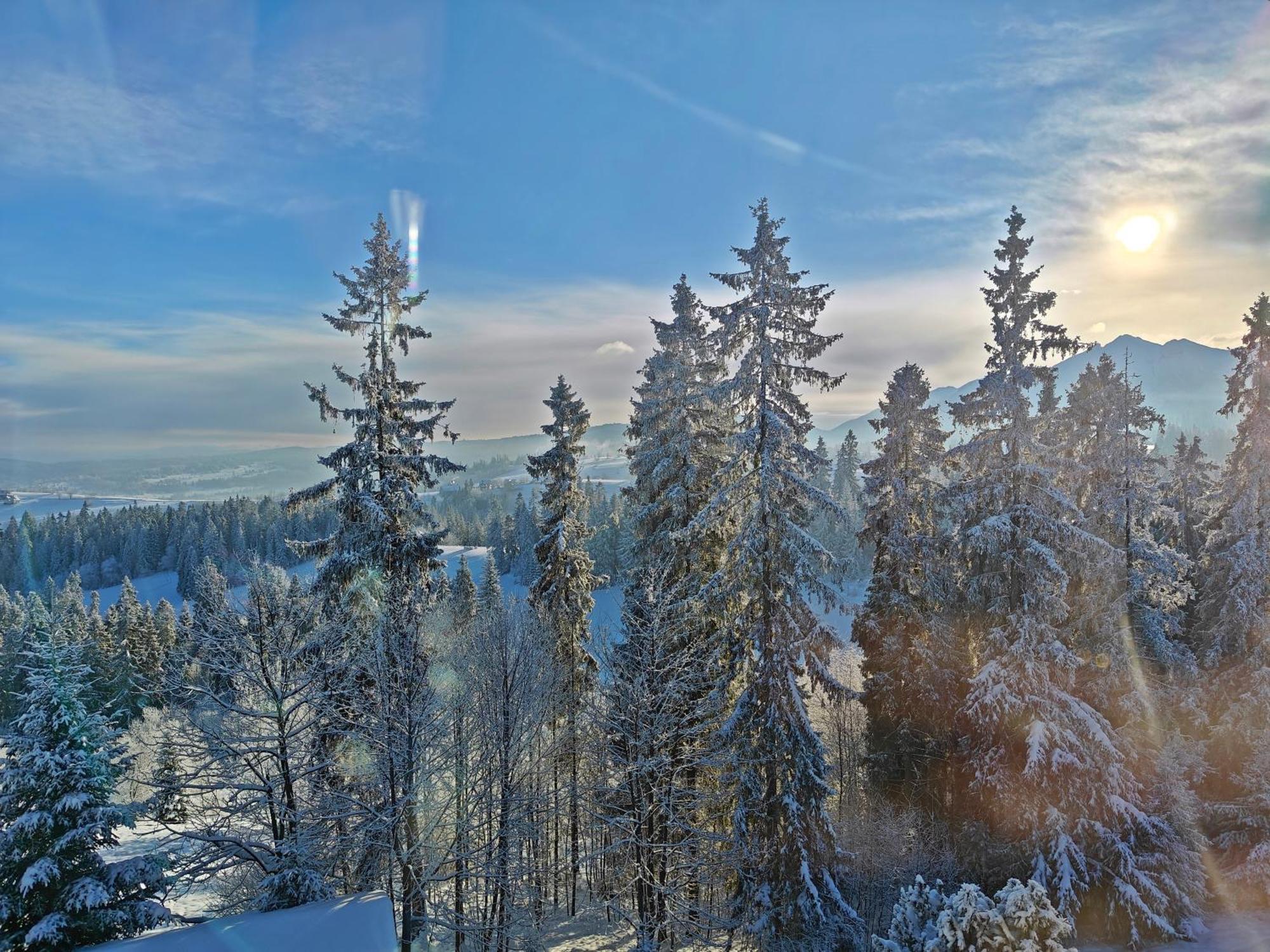 Willa Bukovinka - bliskość lasu, wyciągów i term BON TURYSTYCZNY Bukowina Tatrzańska Exterior foto